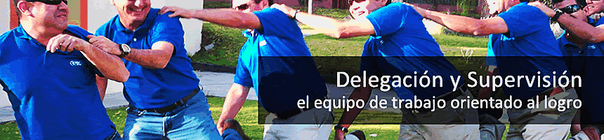 Delegación y Supervisión