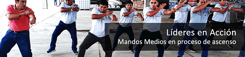 Líderes en Acción