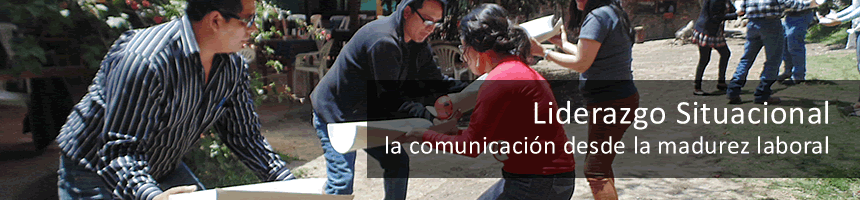 Liderazgo Situacional